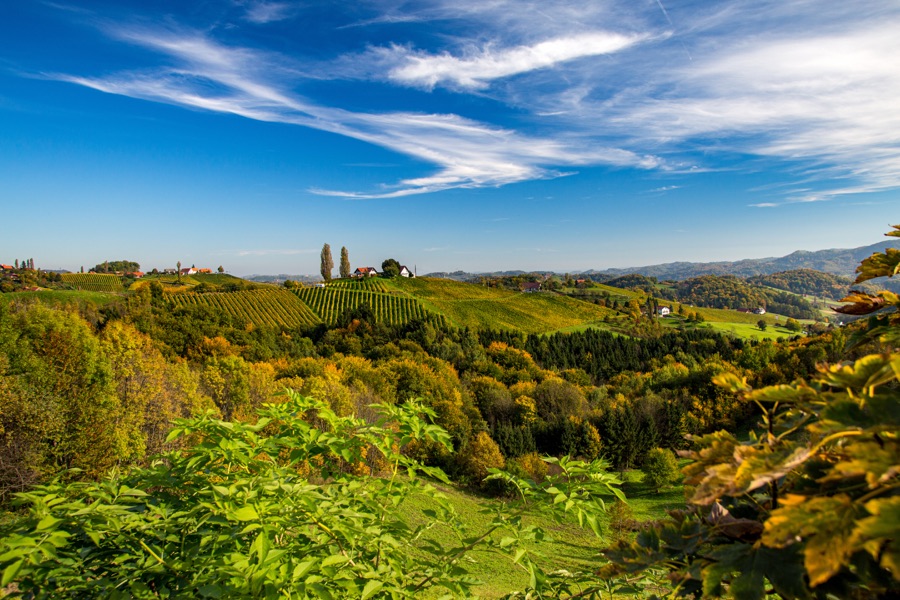 Eichberghof, Weingut und Gutshof